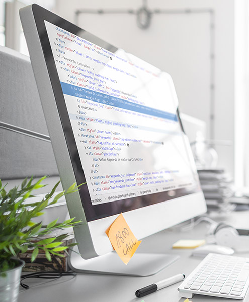 Web Development
