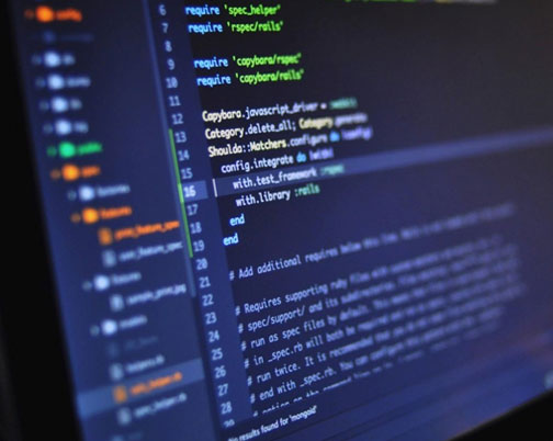 NET Development