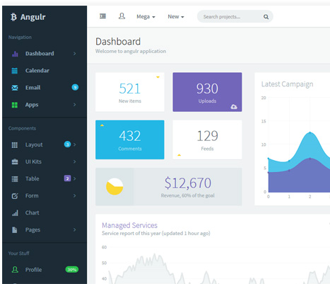 Advantages of Developing Apps in AngularJS
