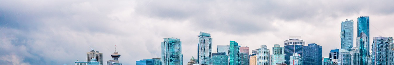 https://www.oliveweb.net/wp-content/uploads/2020/05/inner-banner-small.jpg