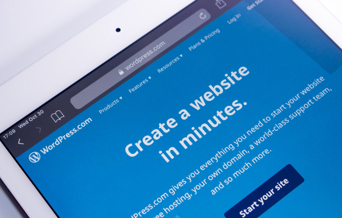 WordPress Development